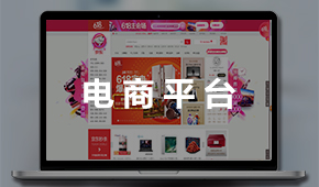 電商平臺：電子商務(wù)運(yùn)營平臺